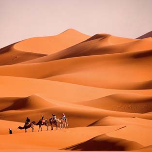 Leinwandbilder Wüste