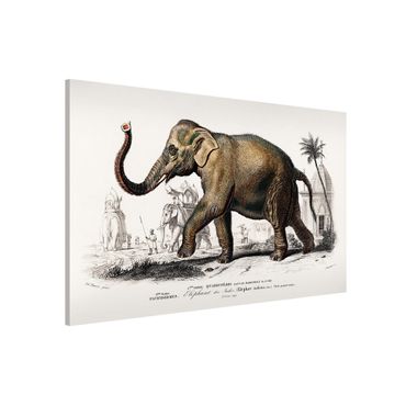 Magnettafel - Vintage Lehrtafel Elefant - Memoboard Querformat 2:3