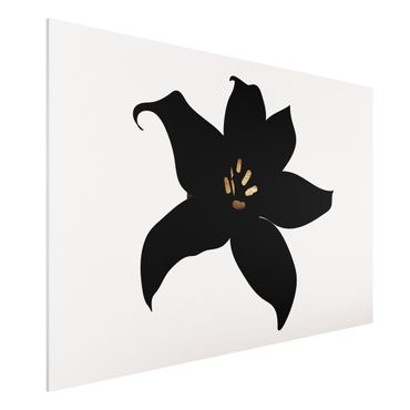 Forex Fine Art Print - Grafische Pflanzenwelt - Orchidee Schwarz und Gold - Querformat 2:3