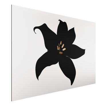 Aluminium Print - Grafische Pflanzenwelt - Orchidee Schwarz und Gold - Querformat 2:3