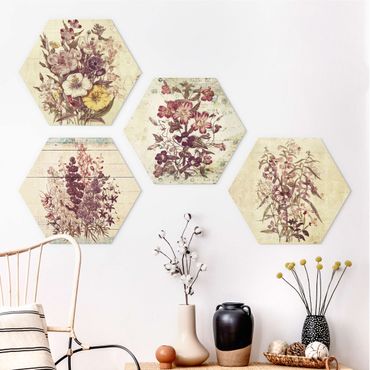 Hexagon Bild Forex 4-teilig - Vintage Blumen Sammlung