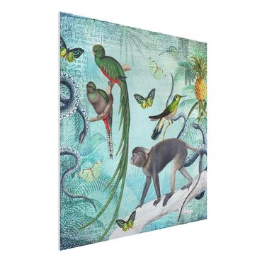 Forex Fine Art Print - Colonial Style Collage - Äffchen und Paradiesvögel - Quadrat 1:1
