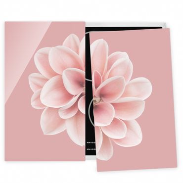 Herdabdeckplatte Glas - Dahlie Rosa Blush Blume Zentriert - 52x60cm