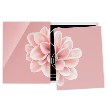 Herdabdeckplatte Glas - Dahlie Rosa Blush Blume Zentriert - 52x80cm