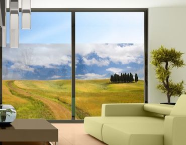 Fensterfolie - Sichtschutz Fenster Zypressen in der Toskana - Fensterbilder