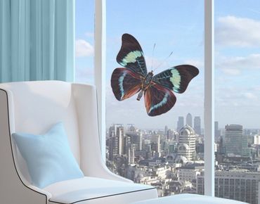 Fensterfolie - Fenstersticker No.423 Lepidoptera - Fensterbilder