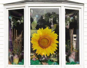Fensterfolie - Fenstersticker No.498 Sonnenblumenblüte - Fensterbilder