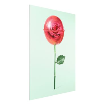 Forex Fine Art Print - Jonas Loose - Rose mit Lollipop - Hochformat 4:3
