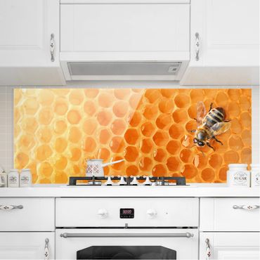 Spritzschutz Glas - Honey Bee - Panorama - 5:2
