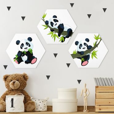 Hexagon Bild Alu-Dibond 3-teilig - Pandabären Set