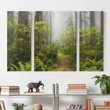 Leinwandbild 3-teilig - Nebliger Waldpfad - Triptychon