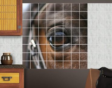 Fliesenbild - Horse Eye