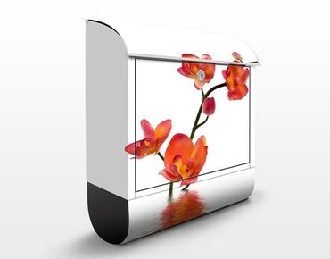 Briefkasten mit Zeitungsfach - Flamy Orchid Waters - Briefkasten Blumen