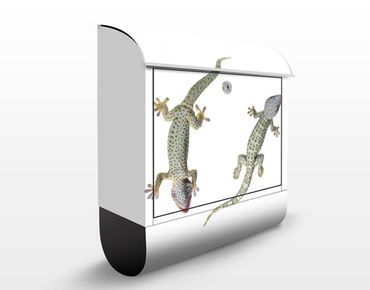 Briefkasten mit Zeitungsfach - Neugierige Geckos - Briefkasten mit Tiermotiv