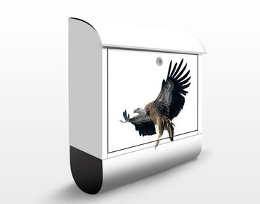 Briefkasten mit Zeitungsfach - Majestic Vulture - Briefkasten mit Tiermotiv