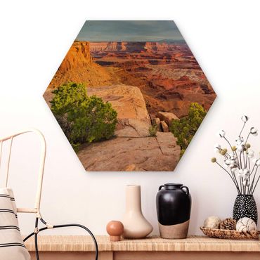Hexagon Bild Holz - Dead Horse Point Canyonlands National Park USA