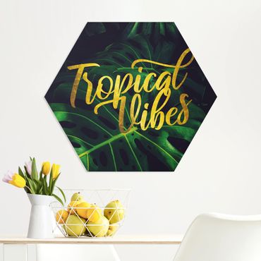 Hexagon Bild Forex - Dschungel - Tropical Vibes