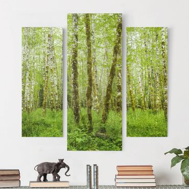 Leinwandbild 3-teilig - Hoh Rainforest Olympic National Park - Galerie Triptychon