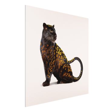 Forex Fine Art Print - Jonas Loose - Goldener Panther - Quadrat 1:1