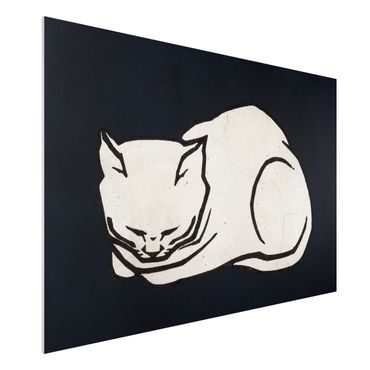 Forex Fine Art Print - Schlafende Katze Illustration - Querformat 2:3