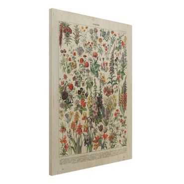 Holzbild - Vintage Lehrtafel Blumen IV - Hochformat 4:3