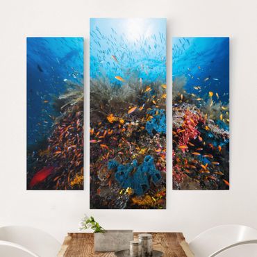 Leinwandbild 3-teilig - Lagune Unterwasser - Galerie Triptychon