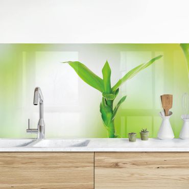 Küchenrückwand - Grüner Bambus