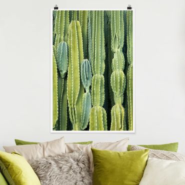 Poster - Kaktus Wand - Hochformat 3:2