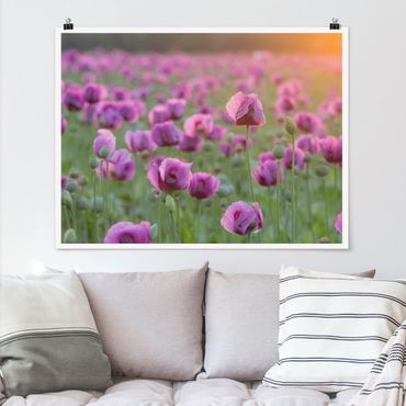 Poster - Violette Schlafmohn Blumenwiese im Frühling - Querformat 3:4