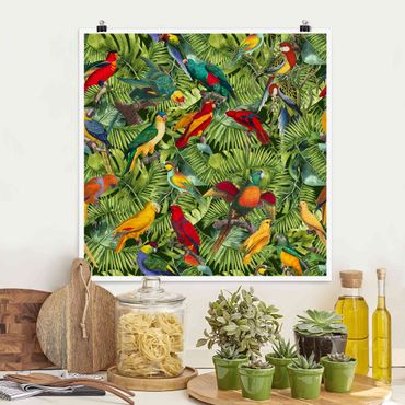 Poster - Bunte Collage - Papageien im Dschungel - Quadrat 1:1
