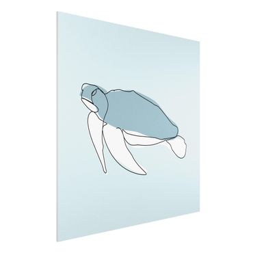 Forex Fine Art Print - Schildkröte Line Art - Quadrat 1:1
