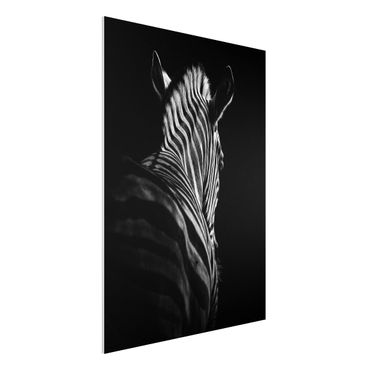 Forex Fine Art Print - Dunkle Zebra Silhouette - Hochformat 4:3