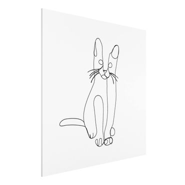 Forex Fine Art Print - Katze Line Art - Quadrat 1:1