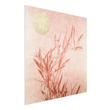 Forex Fine Art Print - Goldene Sonne mit Rosa Bambus - Quadrat 1:1