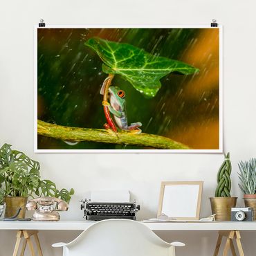 Poster - Ein Frosch im Regen - Querformat 2:3