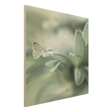 Holzbild - Schmetterling und Tautropfen in Pastellgrün - Quadrat 1:1