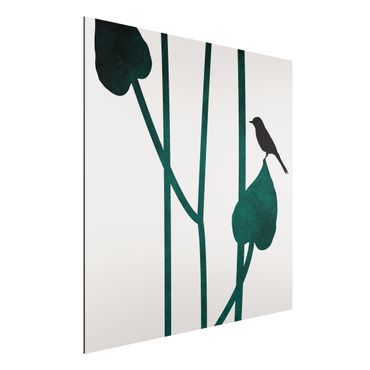 Aluminium Print - Grafische Pflanzenwelt - Vogel auf Blatt - Quadrat 1:1