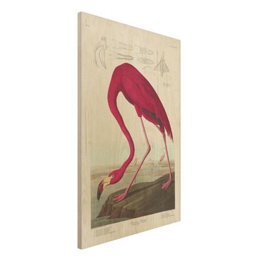 Holzbild - Vintage Lehrtafel Amerikanischer Flamingo - Hochformat 3:2