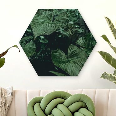 Hexagon Bild Holz - Tropische Pflanzen I