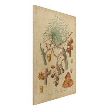 Holzbild - Vintage Lehrtafel Exotische Palmen III - Hochformat 3:2