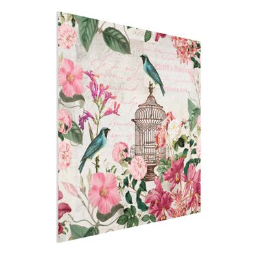 Forex Fine Art Print - Shabby Chic Collage - Rosa Blüten und blaue Vögel - Quadrat 1:1