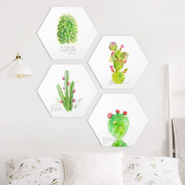 Hexagon Bild Forex 4-teilig - Kaktus mit Bibelvers Set I
