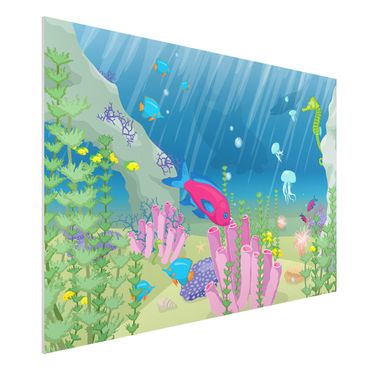 Forexbild - Unterwasserwelt