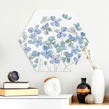 Hexagon Bild Forex - Blaue Hortensienblüten