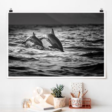 Poster - Zwei springende Delfine - Querformat 2:3