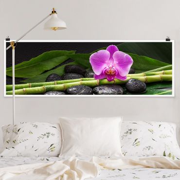 Poster - Grüner Bambus mit Orchideenblüte - Panorama Querformat