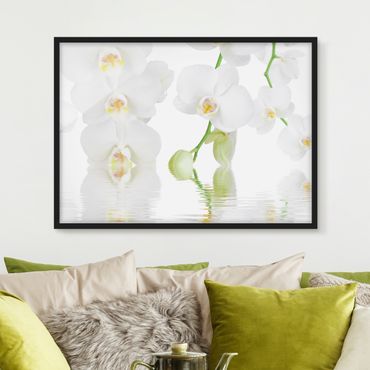 Bild mit Rahmen - Wellness Orchidee - Weiße Orchidee - Querformat 3:4