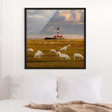 Bild mit Rahmen - Nordsee Leuchtturm mit Schafsherde - Quadrat 1:1