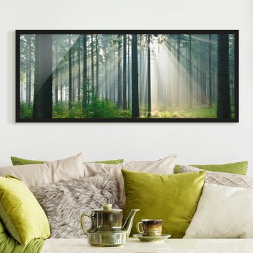 Bild mit Rahmen - Enlightened Forest - Panorama Querformat