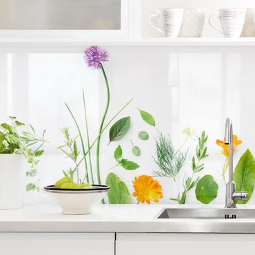 Küchenrückwand - Kräuter und Blüten